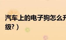 汽车上的电子狗怎么升级（车载电子狗如何升级?）