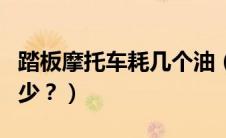踏板摩托车耗几个油（踏板摩托车一般耗油多少？）