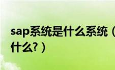 sap系统是什么系统（车载电脑系统的作用是什么?）