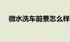 微水洗车前景怎么样（什么是微水洗车）