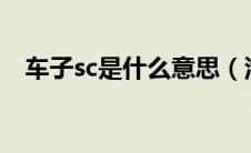 车子sc是什么意思（汽车scs是什么意思）