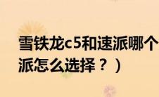 雪铁龙c5和速派哪个好好些（雪铁龙c5和速派怎么选择？）
