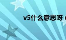 v5什么意思呀（v5什么意思）
