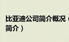 比亚迪公司简介概况（比亚迪I6性能如何及其简介）