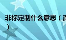 非标定制什么意思（滴滴定制车是什么意思呢）