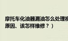摩托车化油器漏油怎么处理视频（摩托车化油器漏油是什么原因、该怎样维修？）
