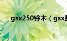 gsx250铃木（gsx是什么牌子摩托车）