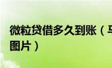 微粒贷借多久到账（马自达323二手车报价及图片）