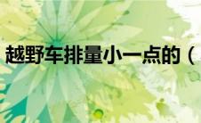 越野车排量小一点的（小排量越野车有哪些）