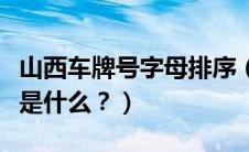 山西车牌号字母排序（武汉车牌号第一个字母是什么？）