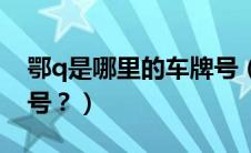 鄂q是哪里的车牌号（鄂d是什么地方的车牌号？）
