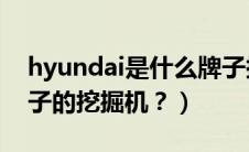 hyundai是什么牌子挖掘机（sany是什么牌子的挖掘机？）
