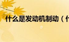 什么是发动机制动（什么是发动机大修？）