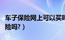 车子保险网上可以买吗（车保险网上可以买保险吗?）