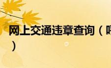网上交通违章查询（呼和浩特交通违章查询网）