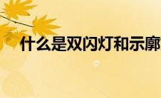 什么是双闪灯和示廓灯（什么是双闪？）