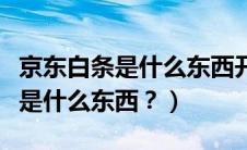 京东白条是什么东西开通好不好（越野车绞盘是什么东西？）