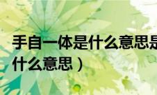 手自一体是什么意思是自动挡吗（手自一体是什么意思）