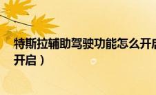 特斯拉辅助驾驶功能怎么开启（凯迪拉克xt5泊车辅助怎么开启）