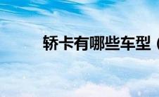 轿卡有哪些车型（轿卡有哪些？）