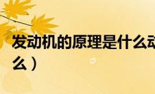 发动机的原理是什么动画（发动机的原理是什么）