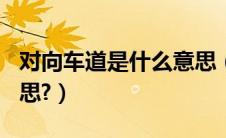 对向车道是什么意思（ETC专用车道是什么意思?）