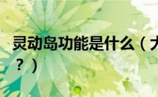 灵动岛功能是什么（大灯随动转向功能是什么？）