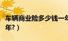 车辆商业险多少钱一年（车辆过户费多少钱一年?）