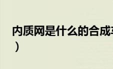 内质网是什么的合成车间（合成油是什么油?）