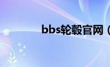 bbs轮毂官网（轮毂是什么）