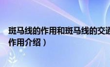 斑马线的作用和斑马线的交通规则（斑马线的作用斑马线的作用介绍）