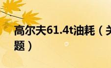 高尔夫61.4t油耗（关于高61.4t喷油嘴的问题）