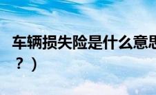 车辆损失险是什么意思（车辆召回流程是什么？）