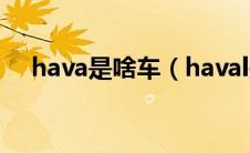 hava是啥车（haval是什么车的标志？）
