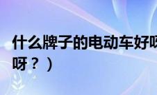 什么牌子的电动车好呀（什么牌子的电动车好呀？）