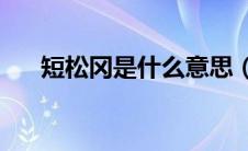 短松冈是什么意思（DSG是什么意思）
