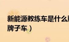 新能源教练车是什么牌子的（r新能源是什么牌子车）