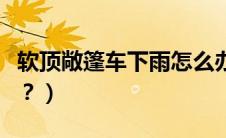 软顶敞篷车下雨怎么办（敞篷车下雨时怎么办？）