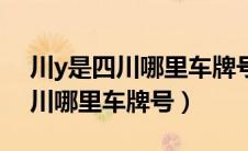 川y是四川哪里车牌号区号是多少（川y是四川哪里车牌号）