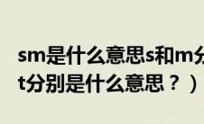 sm是什么意思s和m分别是什么意思（mt和at分别是什么意思？）