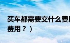买车都需要交什么费用?（买车都需要交哪些费用？）