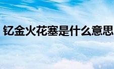 钇金火花塞是什么意思（火花塞是什么意思）