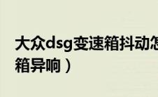 大众dsg变速箱抖动怎么解决（大众dsg变速箱异响）