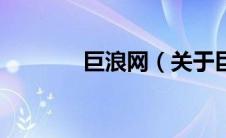 巨浪网（关于巨浪网的介绍）