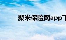 聚米保险网app下载(聚米保险网)