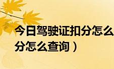 今日驾驶证扣分怎么查询12123（驾驶证扣分怎么查询）