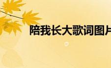 陪我长大歌词图片(陪我长大歌词)
