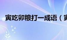 寅吃卯粮打一成语（寅吃卯粮成语的意思）