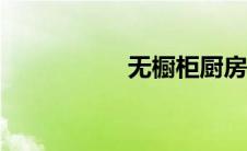 无橱柜厨房（wcgcf）