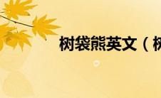 树袋熊英文（树袋熊是什么）